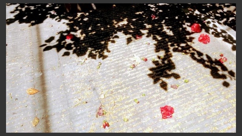 La sombra de una rosa china se expande por la vereda. 