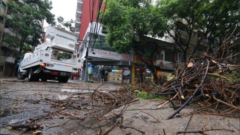 Árbol caído, destrozos y tránsito cortado en Montevideo entre Dorrego y Moreno. 