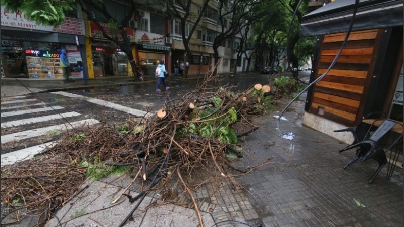 Árbol caído, destrozos y tránsito cortado en Montevideo entre Dorrego y Moreno. 