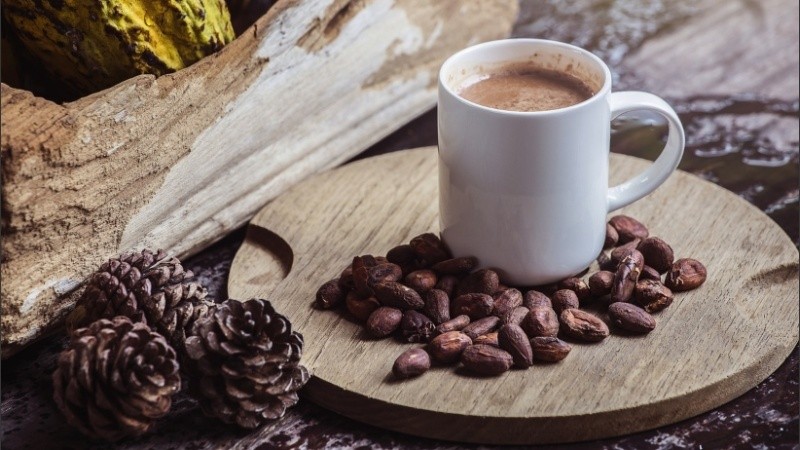 El origen del chocolate se remonta al México precolombino