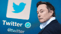 Elon Musk comprará Twitter por el precio acordado: 44 mil millones de dólares