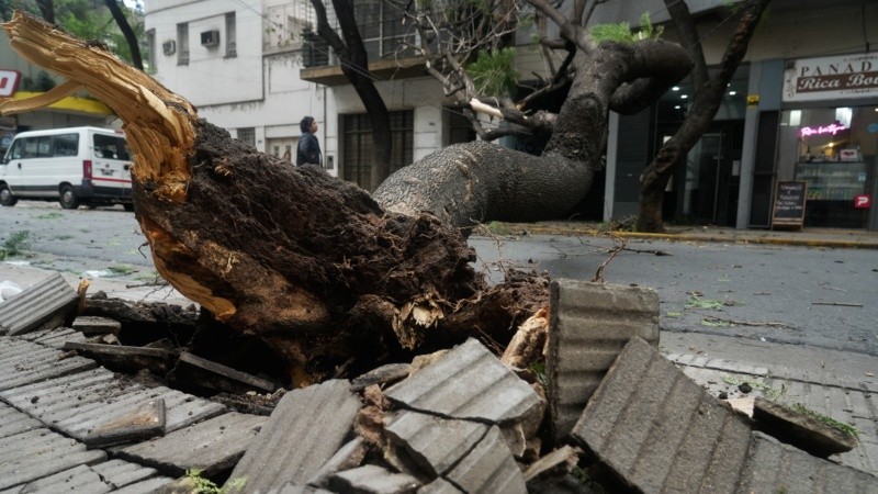 El fuerte viento causó daños en 3 de Febrero entre Paraguay y Presidente Roca.