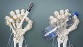 Investigadores diseñaron una mano robot que replica los huesos, tendones y ligamentos de una original
