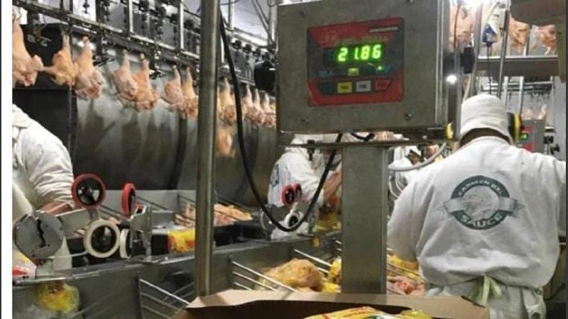 El sector avícola de Rosario y la región anunció un paro total para este miércoles 19.