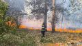 Nuevos incendios en el Bosque de los Constituyentes y el relleno sanitario municipal