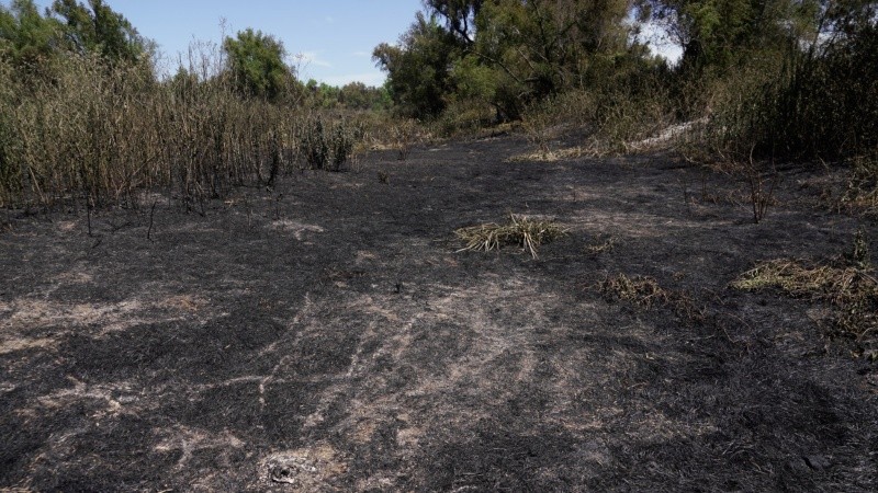 Así quedaron varios sectores de la isla arrasados por el fuego desde el jueves.