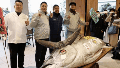 Atún gigante de 276 kilos fue vendido por $1,3 millones de dólares en Japón