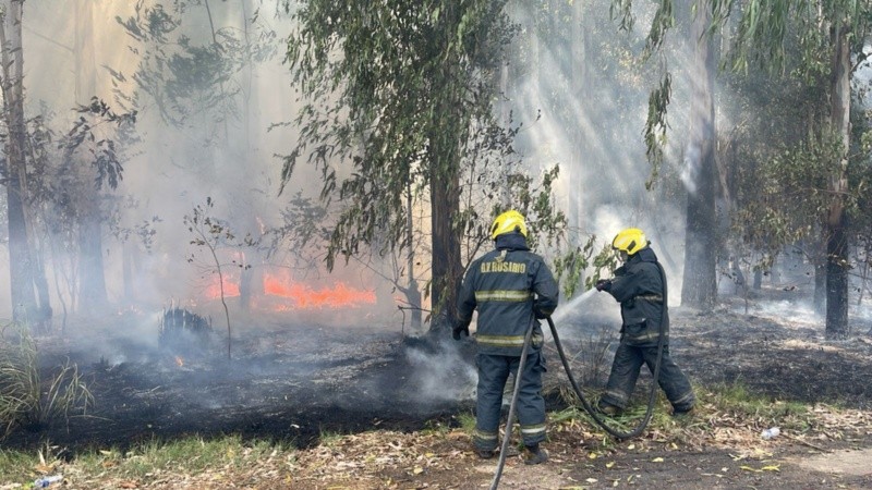 Bomberos trabajando en uno de los focos.