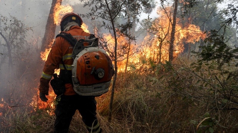 Bomberos brasileños luchan contra el fuego en Pantanal